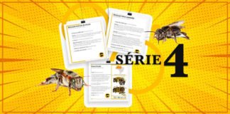 Está no ar a última série das fichas catalográficas de abelhas sem ferrão