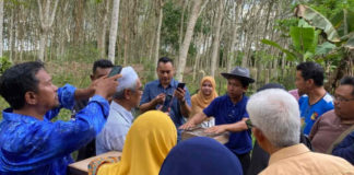 Meliponicultura na Malásia – Um case de produtividade e qualidade do mel