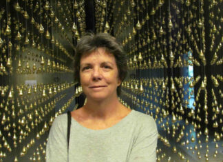 Informação científica ao alcance das mãos dos cidadãos