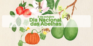 Obrigado por nossos alimentos mais coloridos, nutritivos e saborosos