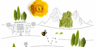 Lançamento E-book – Contribuições da natureza para as pessoas no ambiente urbano