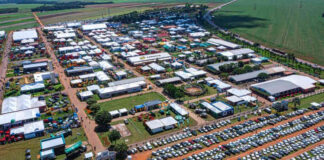 Tem abelhas nativas na Tecnoshow Comigo 2023