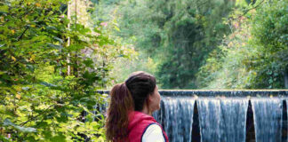 Os benefícios das florestas para a saúde humana