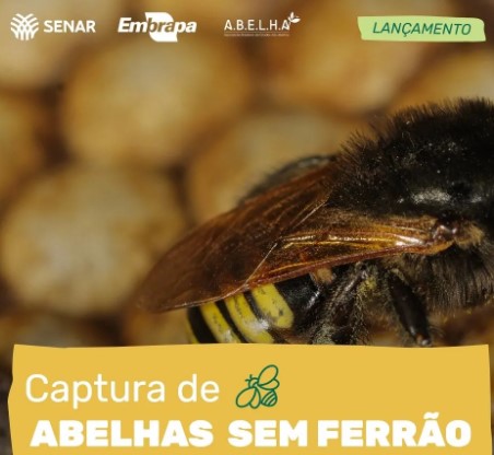 Manejo de abelhas com ferrão é o novo curso do Senar, Embrapa e ABELHA