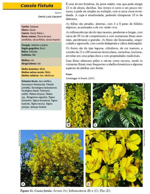 Livro Embrapa plantas polinizadores cassia fistula