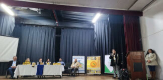 5ª Jornada Apícola em Alegrete (RS) foca na profissionalização dos criadores de abelhas