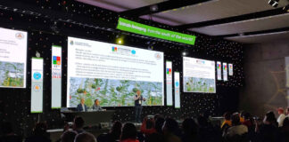 Palestra apresenta o potencial das abelhas nativas na polinização de cultivos agrícolas