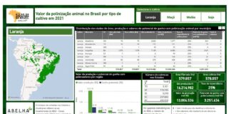 Plataforma Atlas da Apicultura incorpora dados sobre valor da polinização de cultivos
