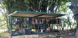 A.B.E.L.H.A., Embrapa Meio Ambiente e Senar ensinam sobre como instalar um meliponário