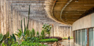 Curso Sistemática e Identificação de Abelhas Neotropicais na UNB tem apoio da A.B.E.L.H.A. e do CNPq