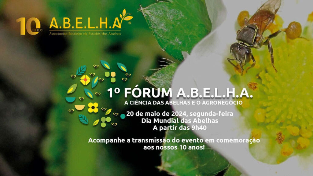 ABELHA 10 anos transmissao ao vivo forum