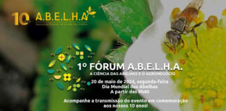 1º Fórum A.B.E.L.H.A. terá transmissão ao vivo no YouTube