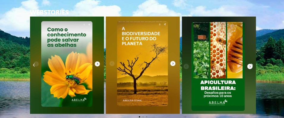 Webstories 10 anos