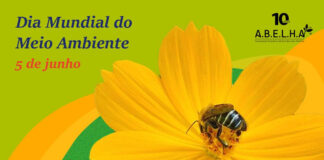 Uma reflexão sobre as mudanças climáticas e as abelhas