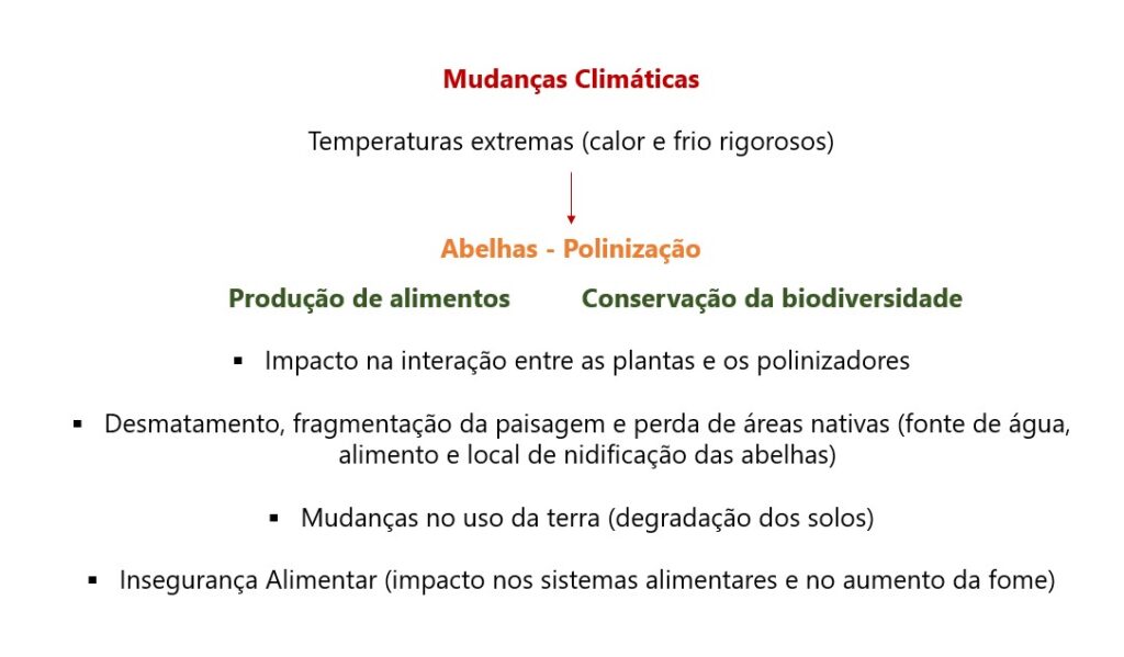 mudancas climaticas abelhas