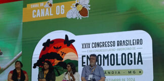 Fórum no CBE 2024 aborda Abelhas e Produção de Alimentos