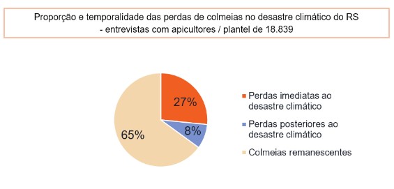 relatorio observatorio recuperacao apicultura RS 2