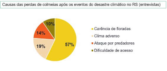 relatorio observatorio recuperacao apicultura RS