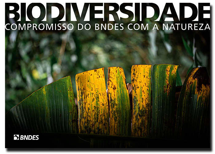 BNDES Biodiversidade capa pt