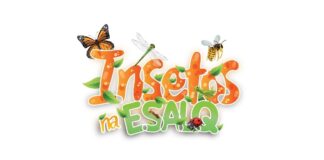 A.B.E.L.H.A. é apoiadora de nova edição do Insetos na Esalq/USP