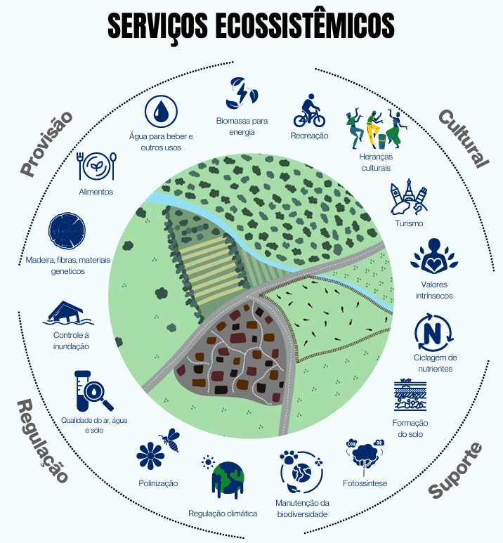 Relatorio BPBES servicos ecossistemicos 2024 site