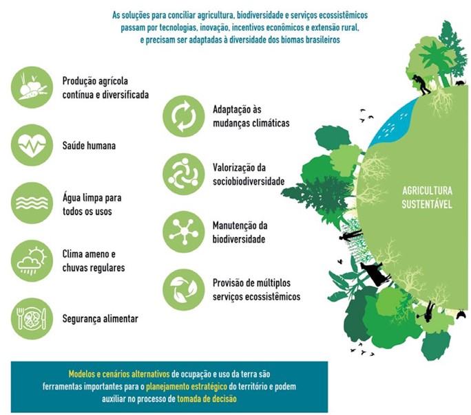 Relatorio BPBES solucoes 2024 site