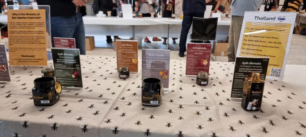 Foto de Cinthia Gomes 2