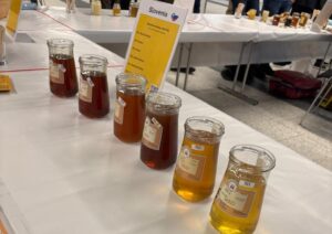 Foto de Cinthia Gomes nova