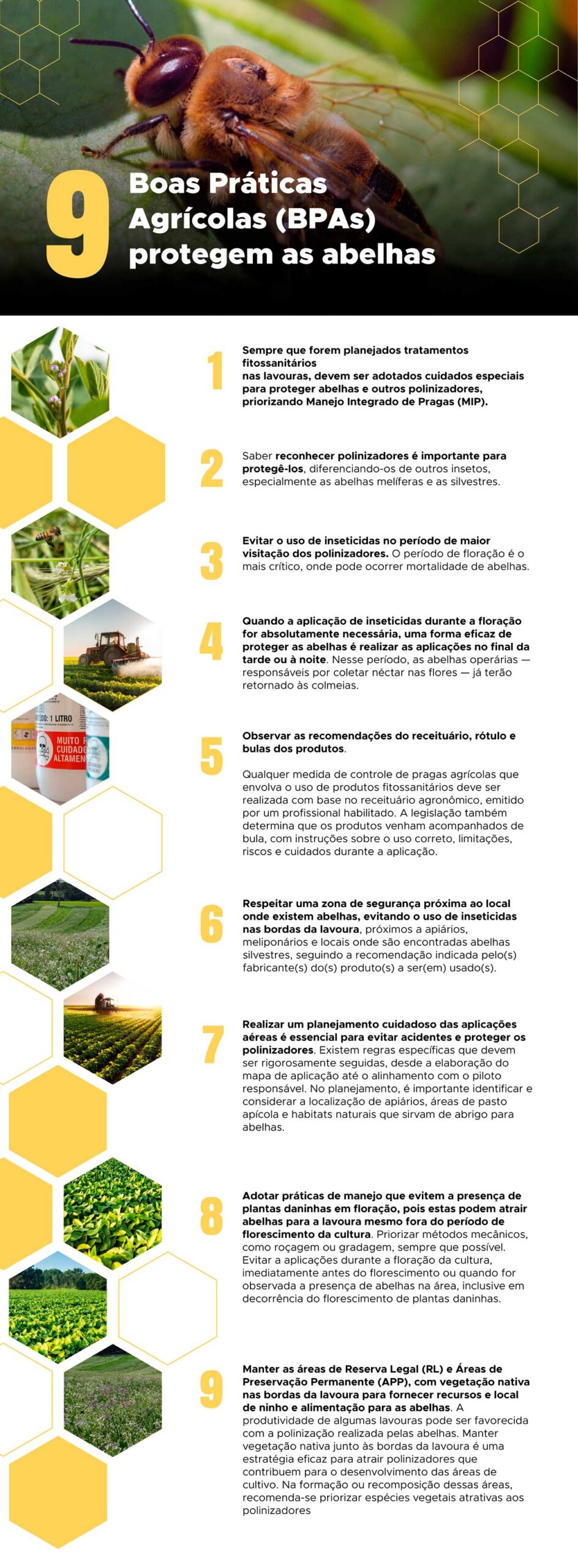 Infografico BPAs Prancheta 1 scaled