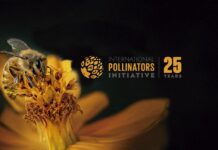 Iniciativa Internacional de Polinizadores: 25 Anos de Compromisso com a Biodiversidade