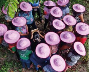 curso meliponicultura para mulheres Ronaldo Rosa