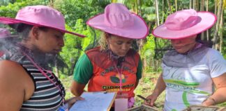 Manual de Meliponicultura para Mulheres valoriza saberes e amplia oportunidades no campo