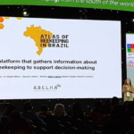 Confira a galeria de fotos da Apimondia 2023 15