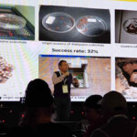 Confira a galeria de fotos da Apimondia 2023 11