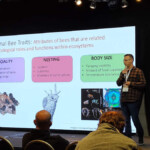 Confira a galeria de fotos da Apimondia 2023 8