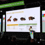 Confira a galeria de fotos da Apimondia 2023 5