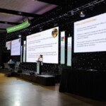 Confira a galeria de fotos da Apimondia 2023 4