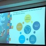 Confira alguns registros do Conbrapi e da participação da A.B.E.L.H.A. no congresso! 9