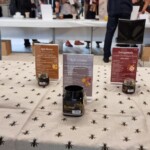Confira as fotos da Apimondia 2025 40