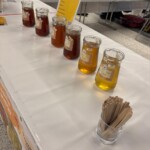 Confira as fotos da Apimondia 2025 39