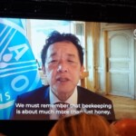 Confira as fotos da Apimondia 2025 38