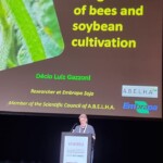 Confira as fotos da Apimondia 2025 51