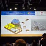 Confira as fotos da Apimondia 2025 29