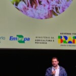 Confira as fotos da Apimondia 2025 28