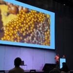 Confira as fotos da Apimondia 2025 27