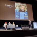 Confira as fotos da Apimondia 2025 24