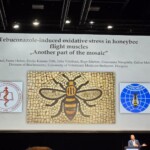 Confira as fotos da Apimondia 2025 22