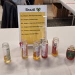 Confira as fotos da Apimondia 2025 21