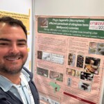 Confira as fotos da Apimondia 2025 7