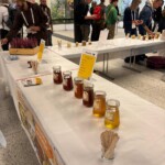 Confira as fotos da Apimondia 2025 3